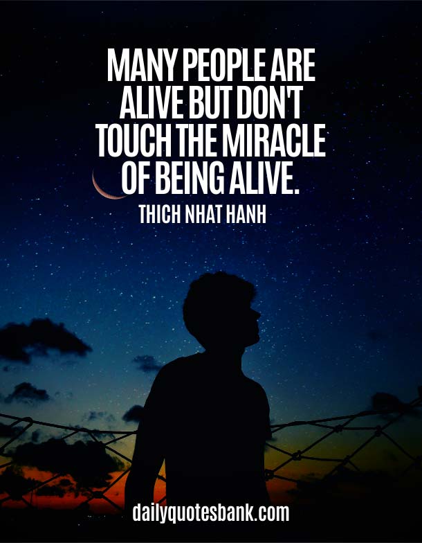 Positive Quotes About Miracle Of Life