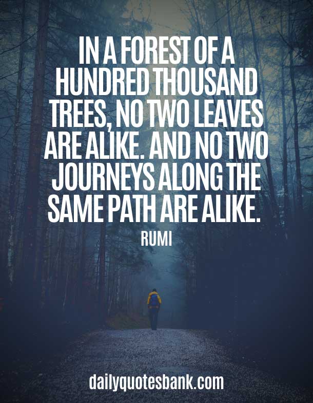Quotes About Paths and Journeys
