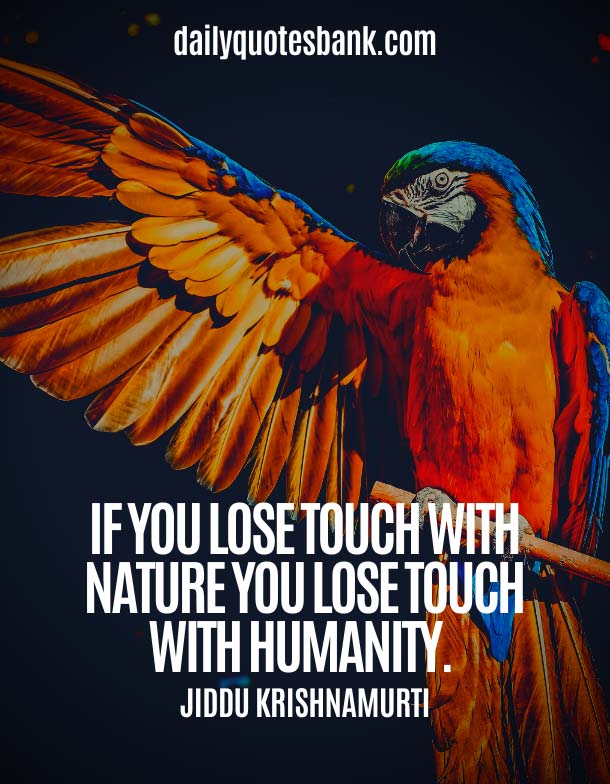 Jiddu Krishnamurti Quotes On Nature