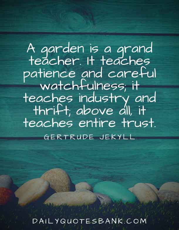 Inspirational Quotes About Gardens and Life Lessons