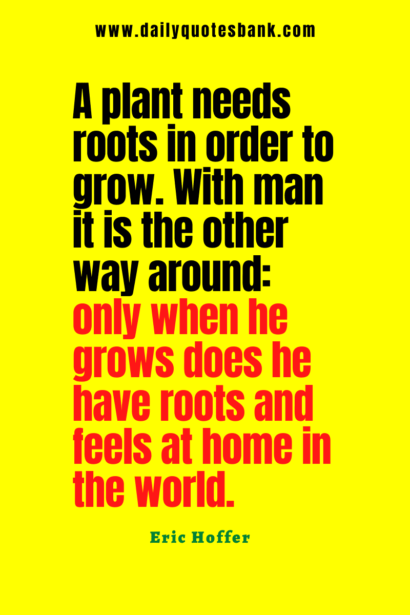 Quotes About Roots and Family